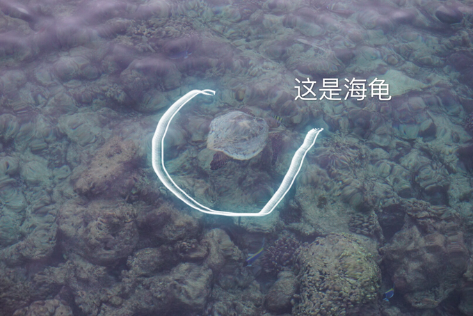 中央格兰德岛